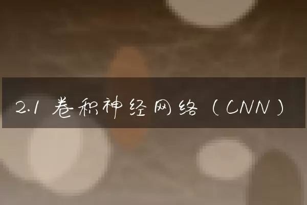 2.1 卷积神经网络（CNN）