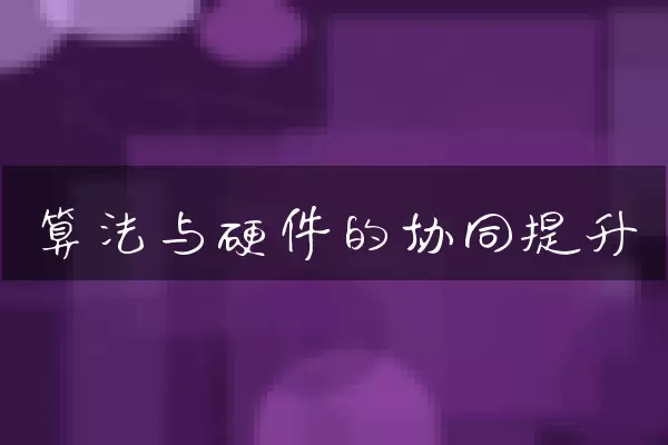 算法与硬件的协同提升