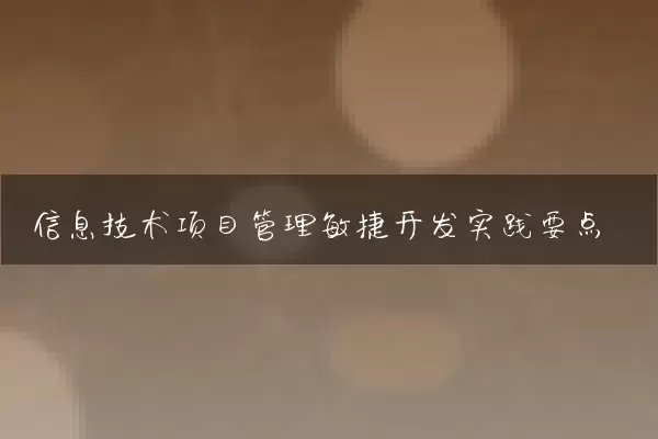 信息技术项目管理敏捷开发实践要点