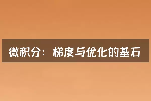 微积分：梯度与优化的基石
