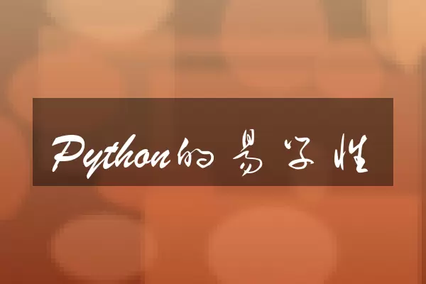 Python的易学性