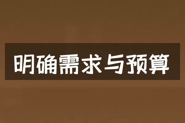 明确需求与预算