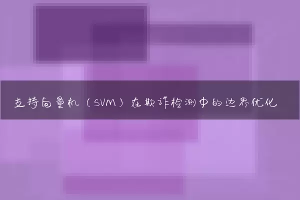 支持向量机（SVM）在欺诈检测中的边界优化