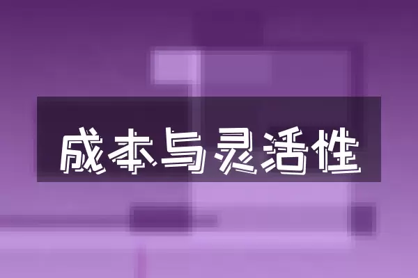成本与灵活性
