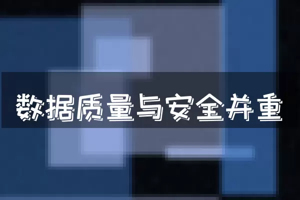 数据质量与安全并重