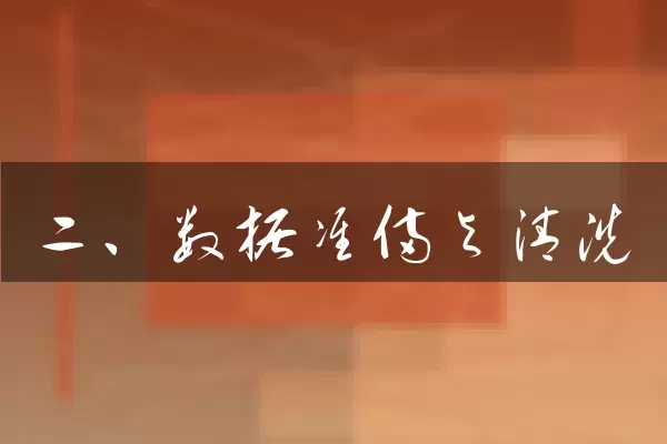 二、数据准备与清洗