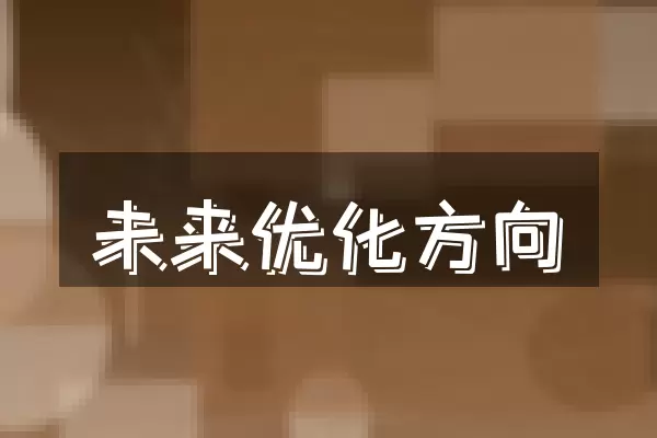 未来优化方向