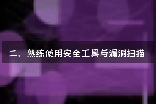 二、熟练使用安全工具与漏洞扫描