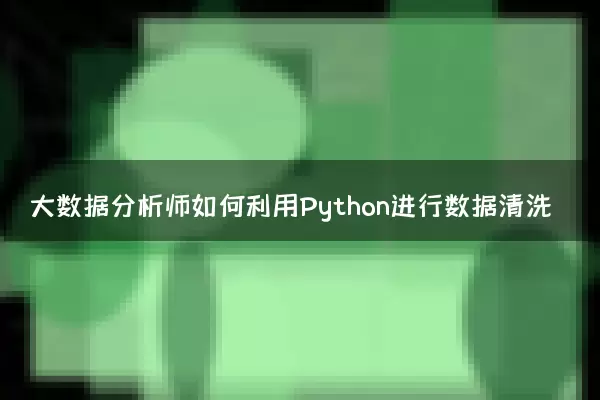 大数据分析师如何利用Python进行数据清洗