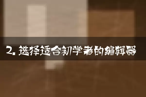 2. 选择适合初学者的编辑器