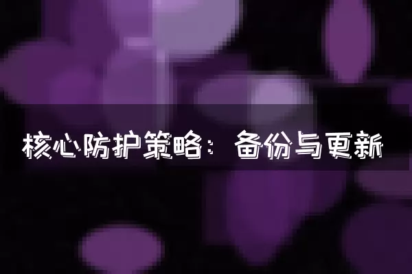 核心防护策略：备份与更新