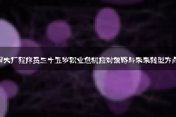 互联网大厂程序员三十五岁职业危机应对策略与未来转型方向