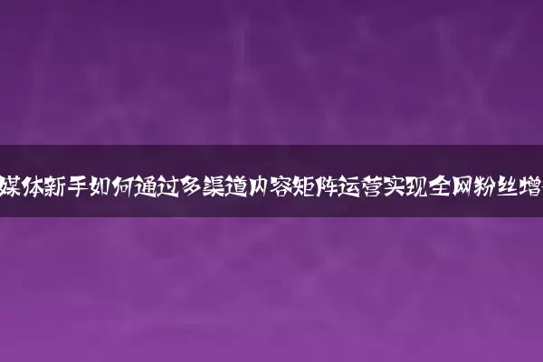 科技自媒体新手如何通过多渠道内容矩阵运营实现全网粉丝增长