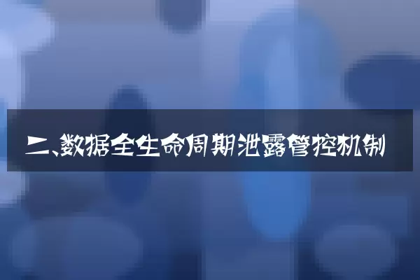 二、数据全生命周期泄露管控机制