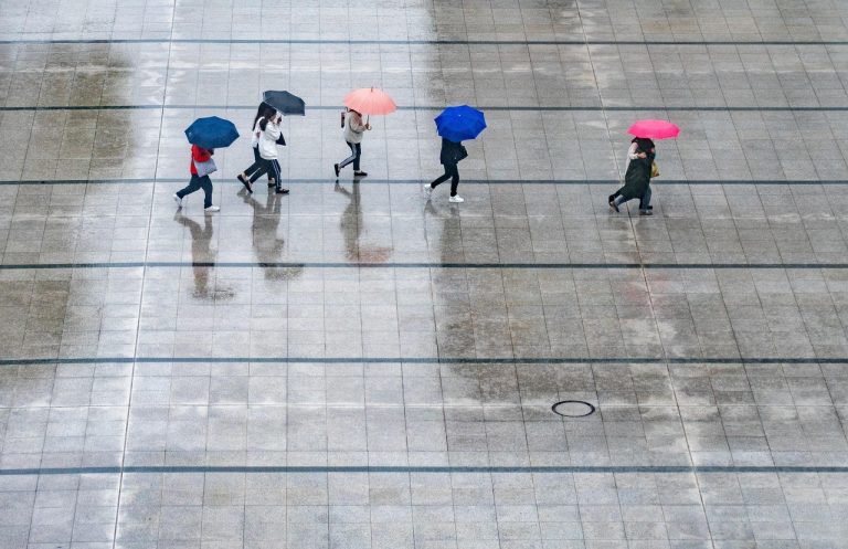 拆解搜索引擎排名优化原理SEO核心机制 rain, people, nature, umbrellas, wet, weather, thunderstorm